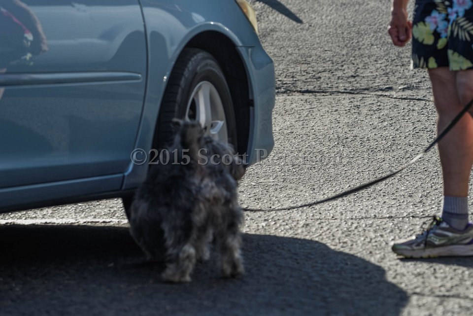 DSC 1560 DxO