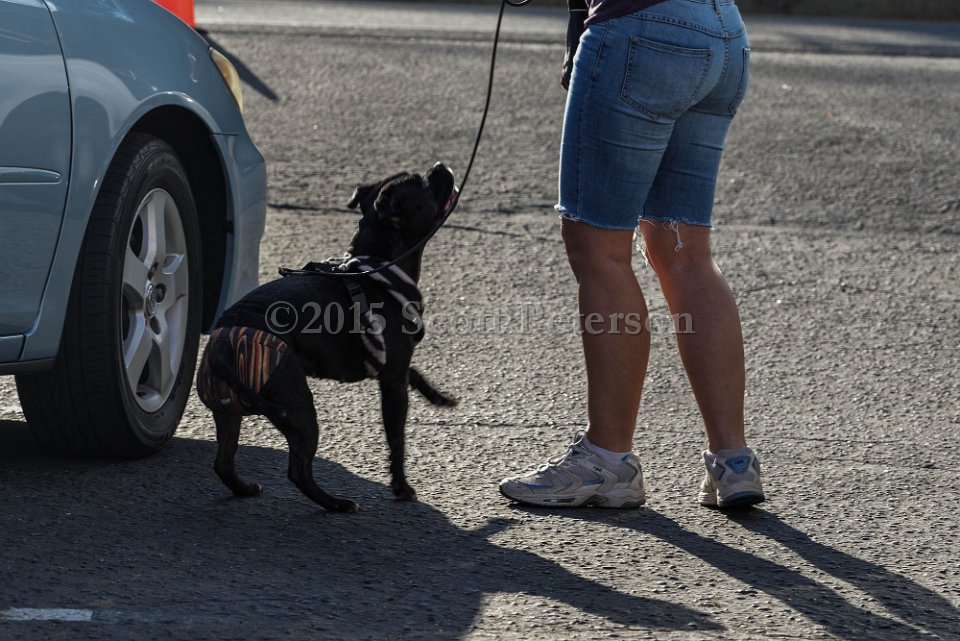 DSC 1578 DxO