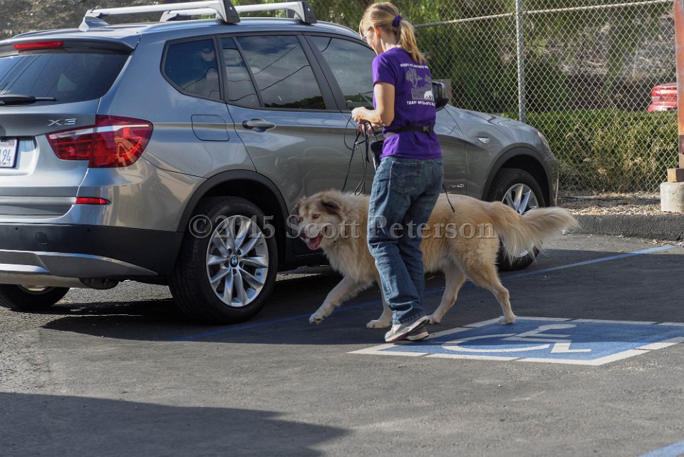 DSC 2172 DxO
